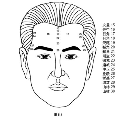 面像額頭